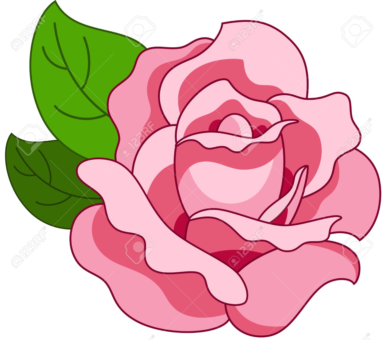 1300x1150 Beautiful Illustration With Pink Rose Flower, Isolated Royalty