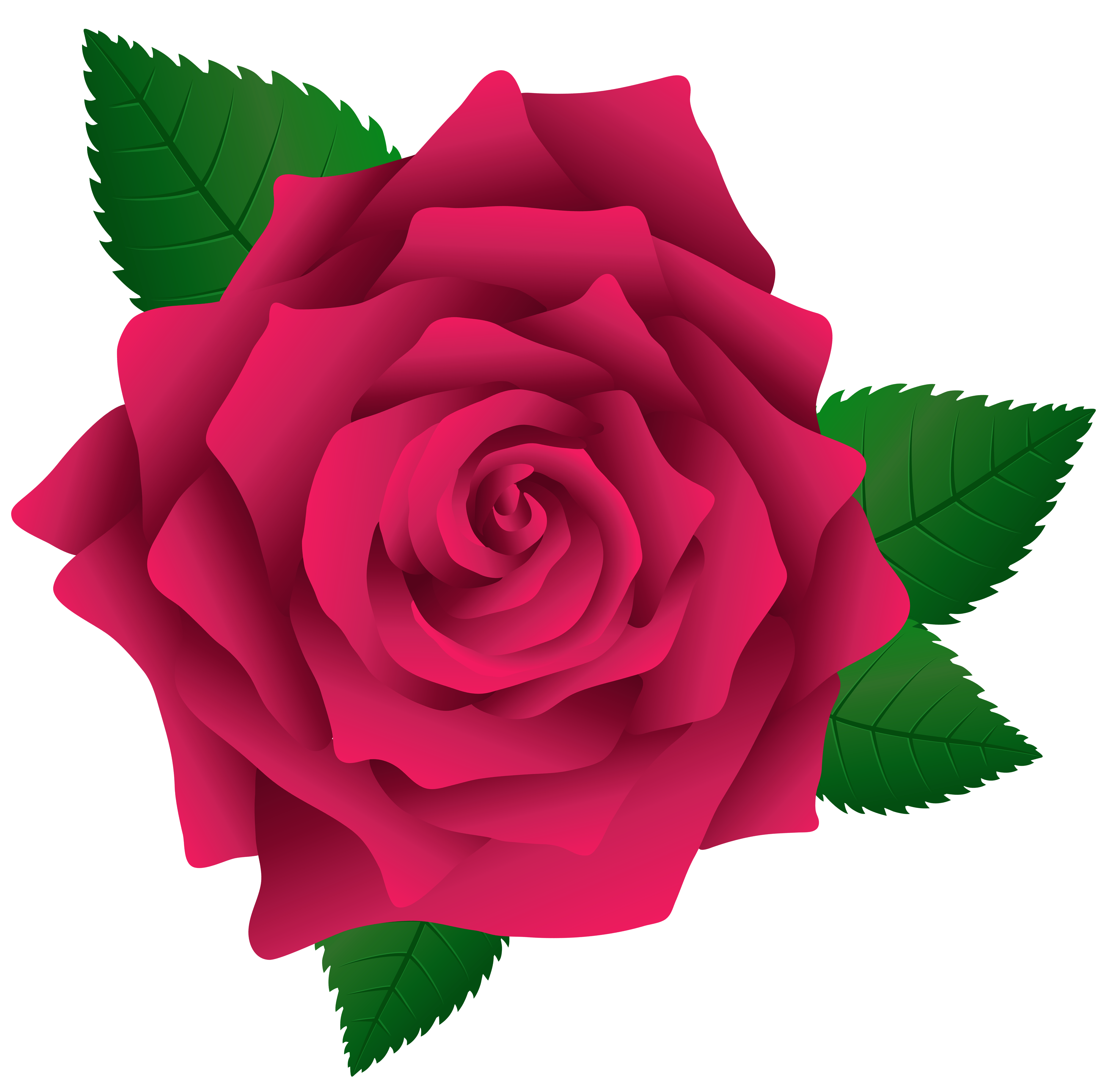 5953x5854 Pink Rose Clip Art