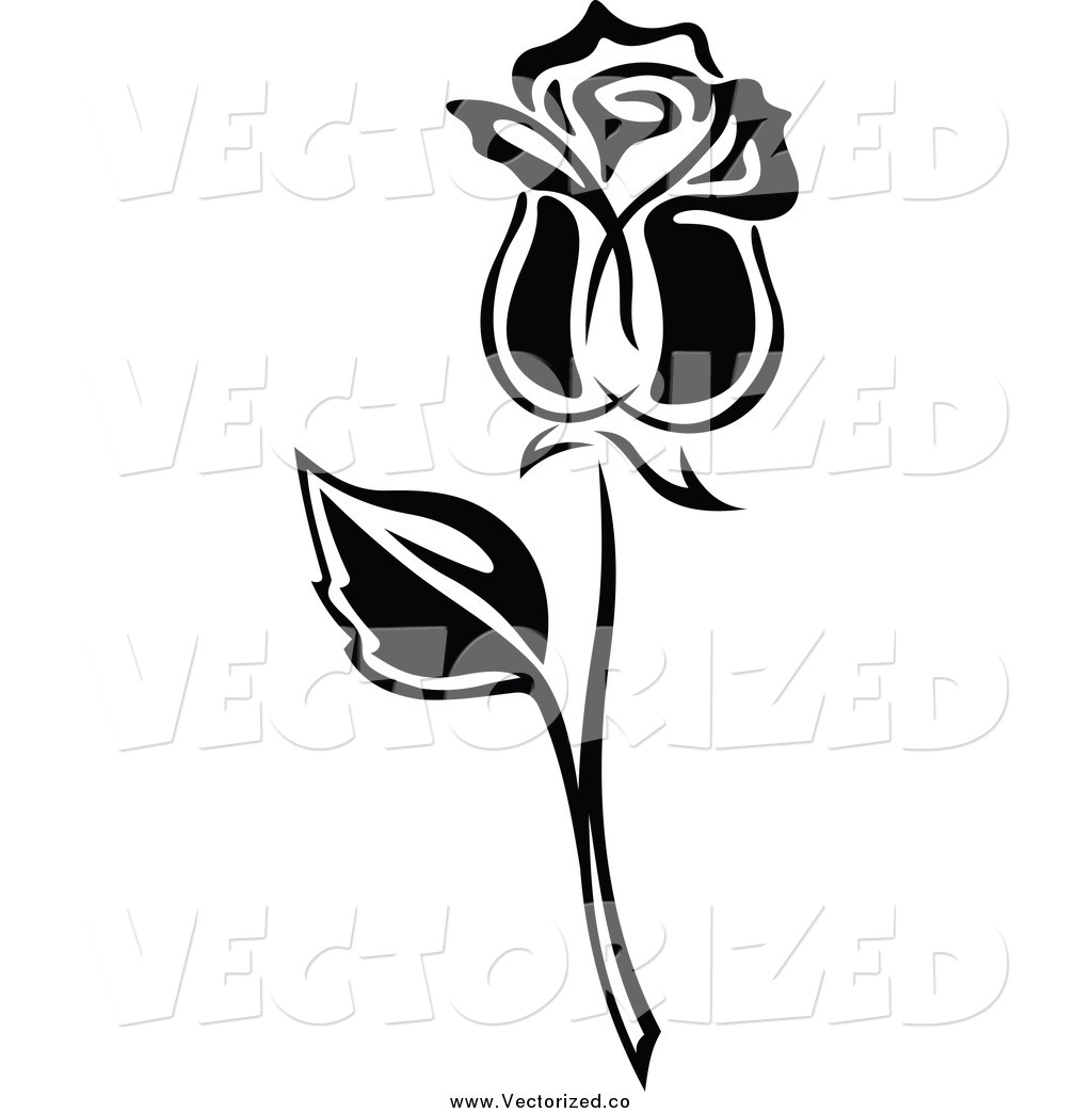 1024x1044 Black And White Rose Clipart