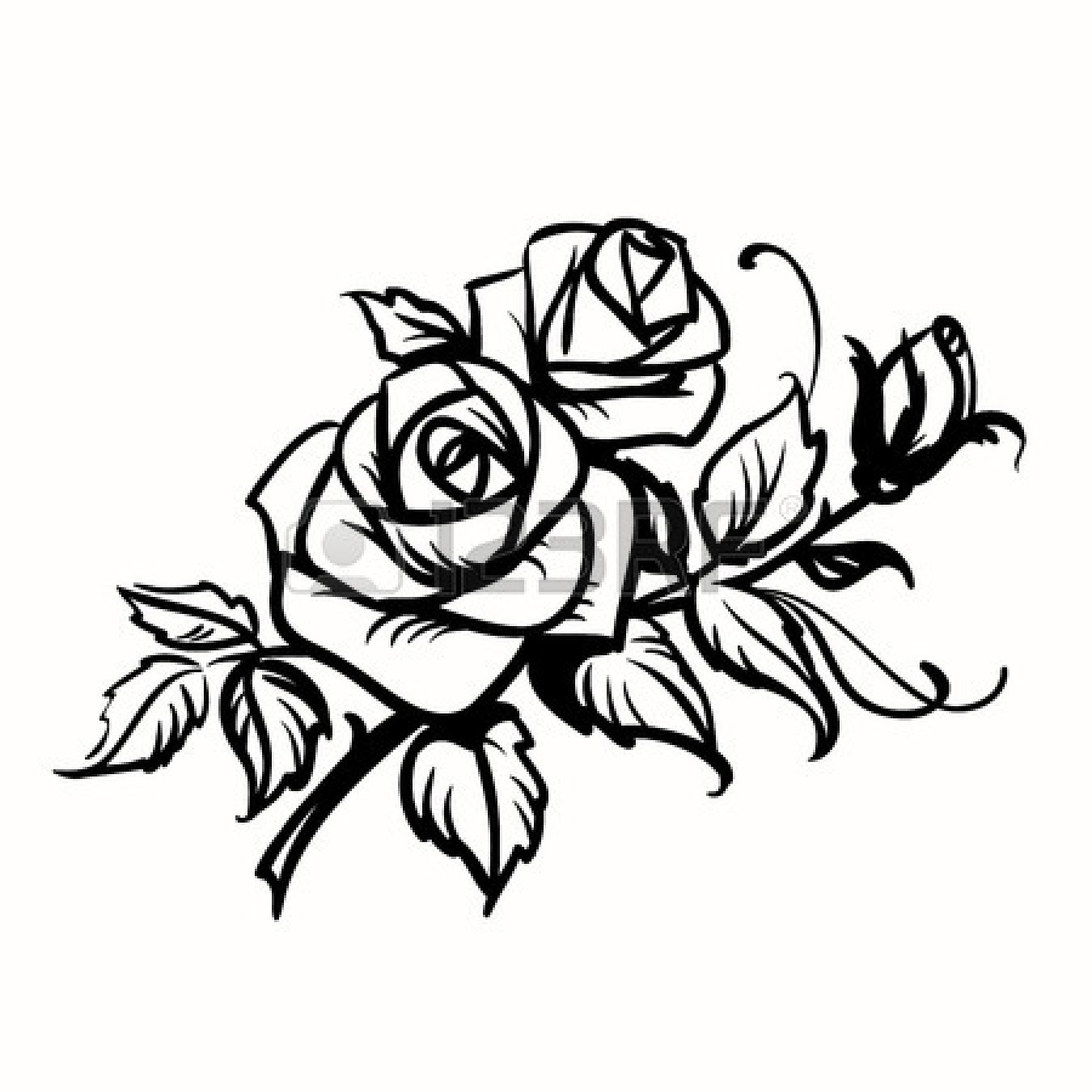 1350x1350 Drawing Clipart Rose