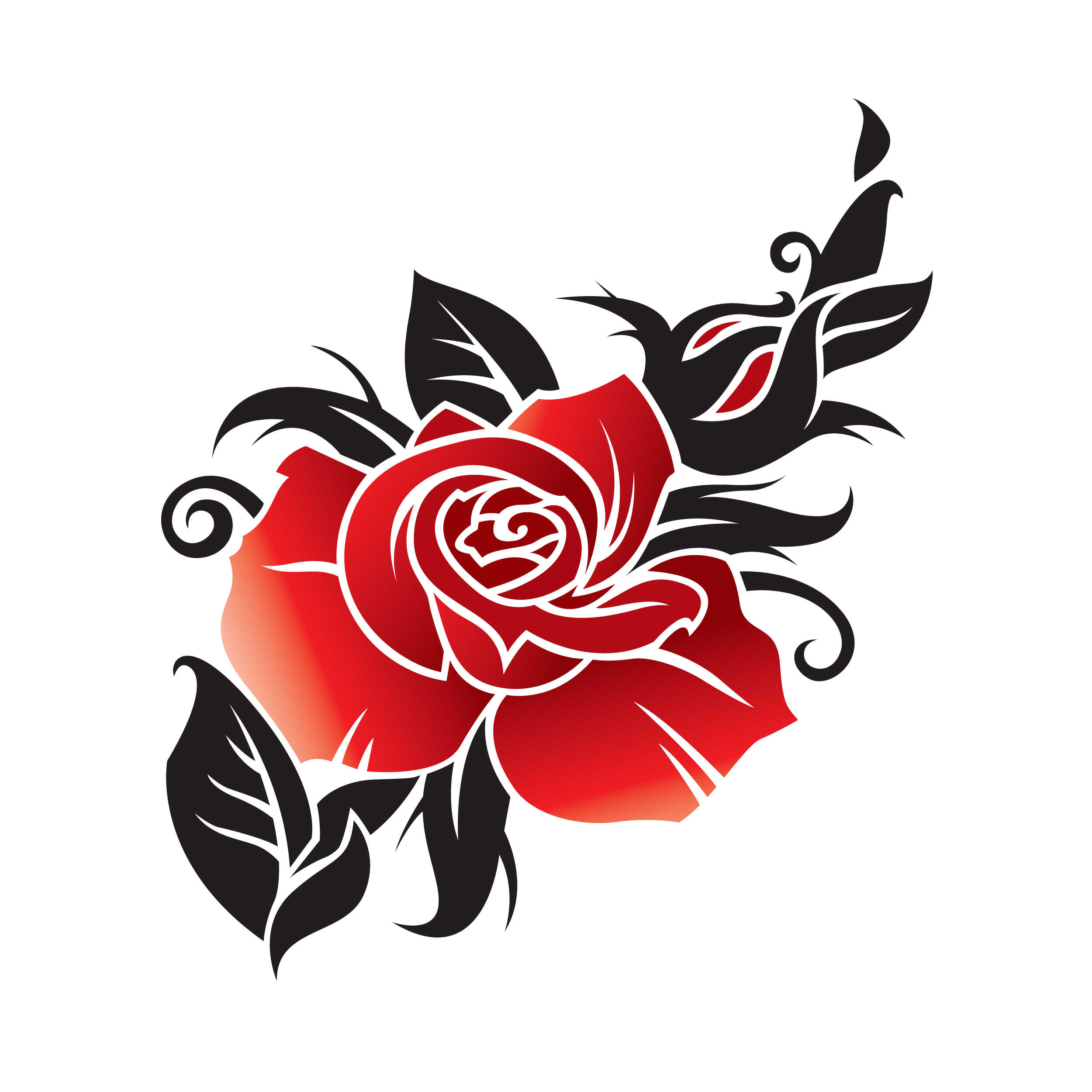2500x2500 Top 75 Roses Clip Art