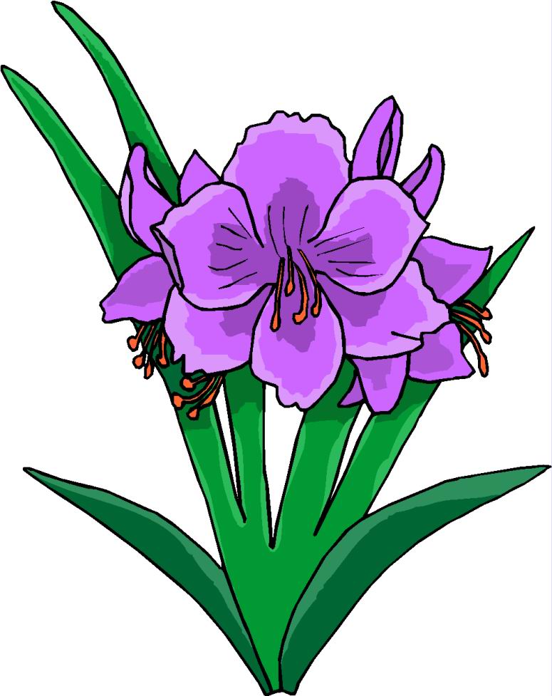 775x977 Clip Art Blumenranke Clipart