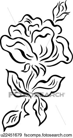 248x470 Clip Art Of , Flower, French, Rose, Simple, U22451679
