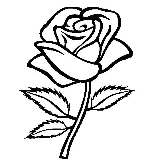 554x565 Rose Clipart Rose On Google Images Clip Art Pages Rose Clipart