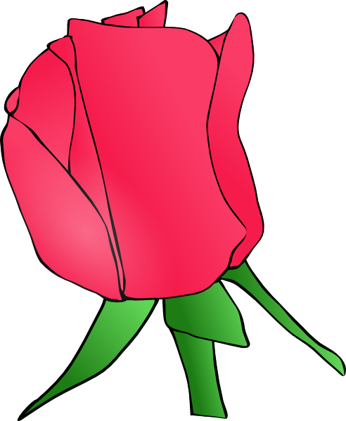 492x599 Rose Clip Art Free Vector 4vector