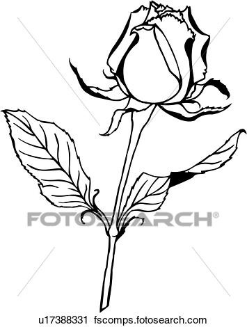 355x470 Clipart Of , Flower, Ornaments, Rose, Varieties, U17388331