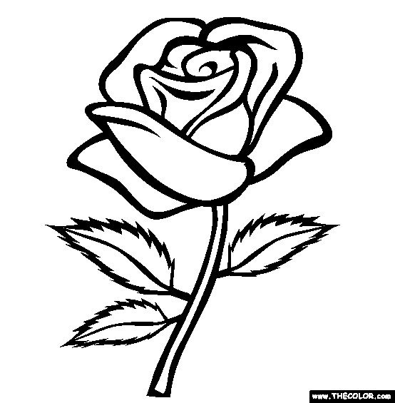 554x565 Rose Coloring Page Free Rose Online Coloring