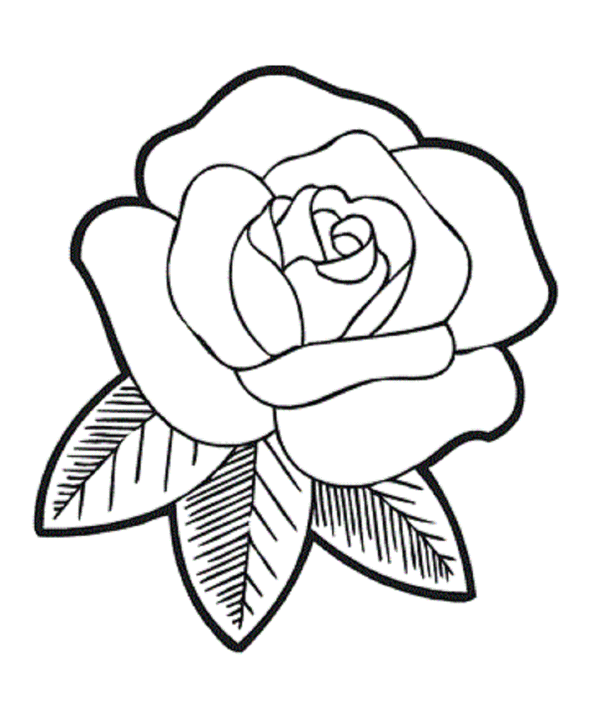 837x1024 Rose Flower Coloring Pages Coloring Pages