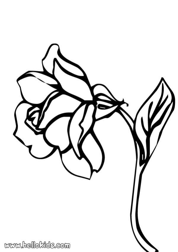 601x850 Rose Flower Coloring Pages
