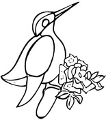 155x176 Roses Coloring Pages Free Coloring Pages