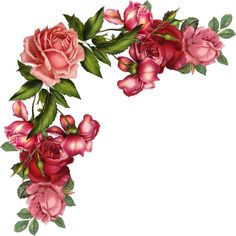 236x236 Pink Rose Borders Free Pink Roses Border, Vintage Style