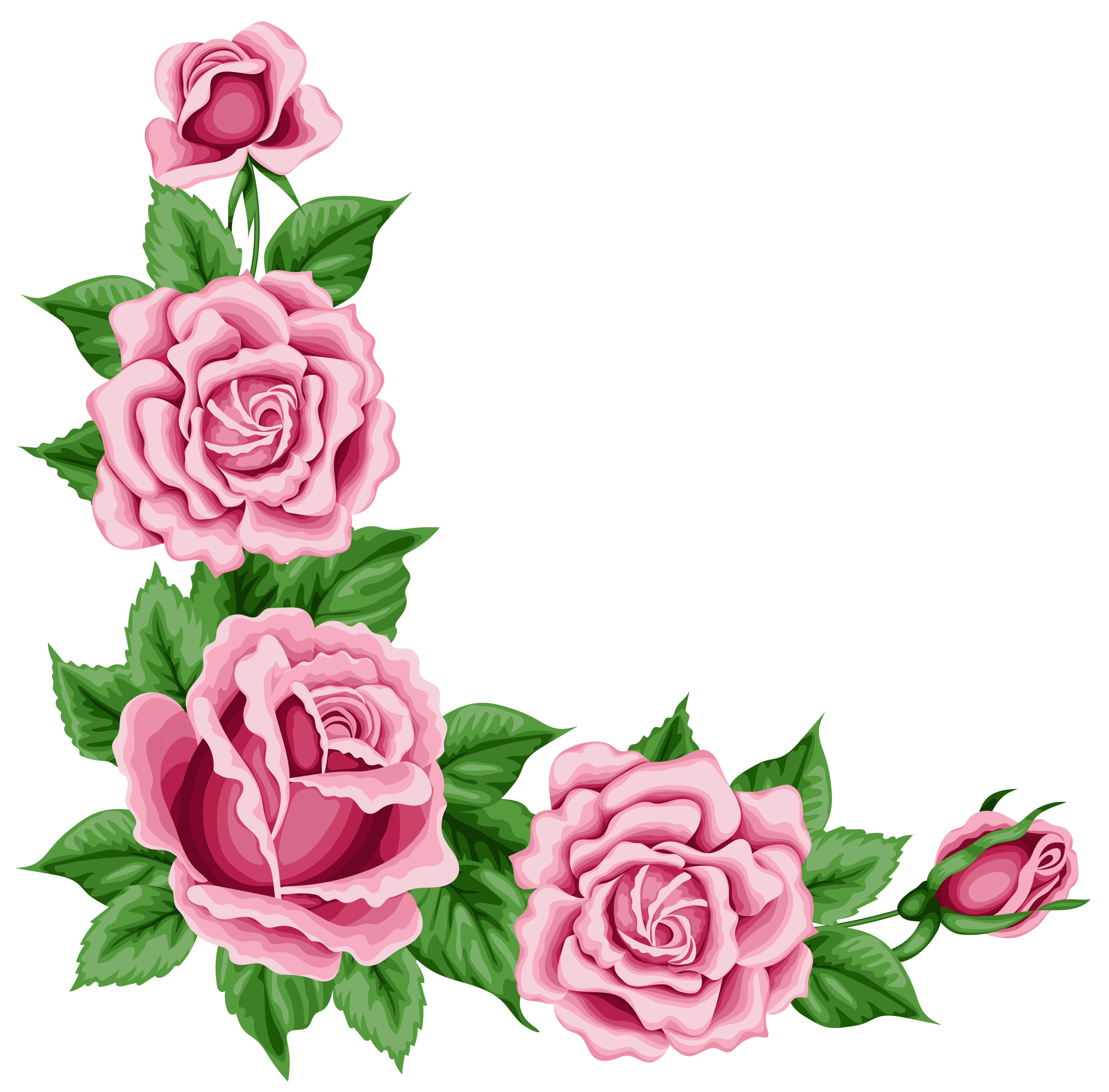 5221x5141 Roses Corner Decoration Png Clipart Pictureu200b Gallery