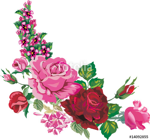 500x465 Pink And Red Rose Corner On White Stock Image And Royalty Free