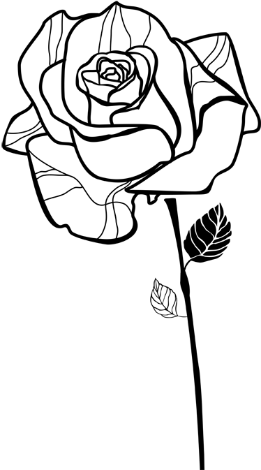 374x673 Rose Sketch Outline Decal