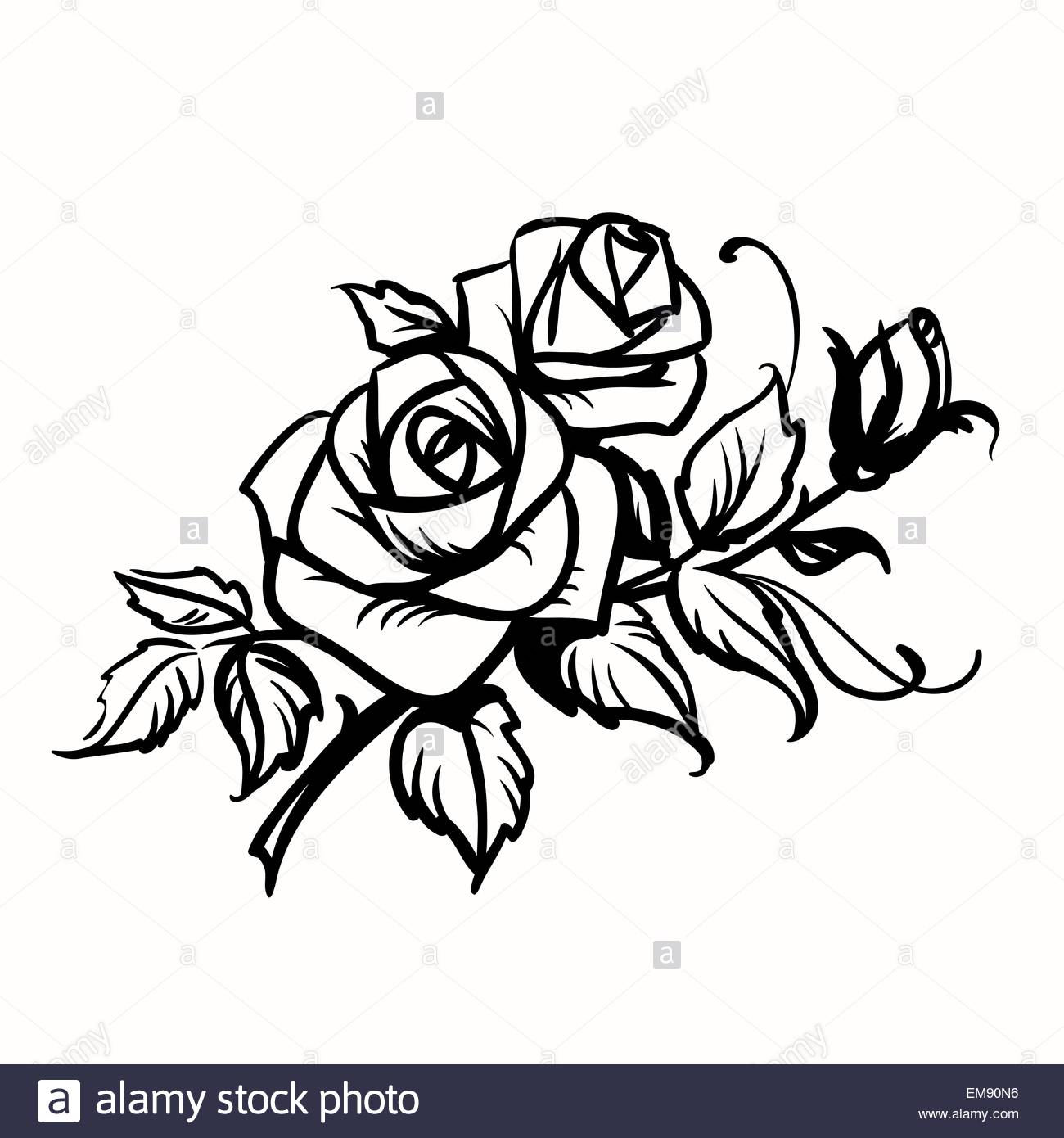 1300x1390 Roses. Black Outline Drawing On White Background Stock Vector Art