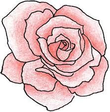 222x227 Best Rose Outline Drawing Ideas Rose Tattoo