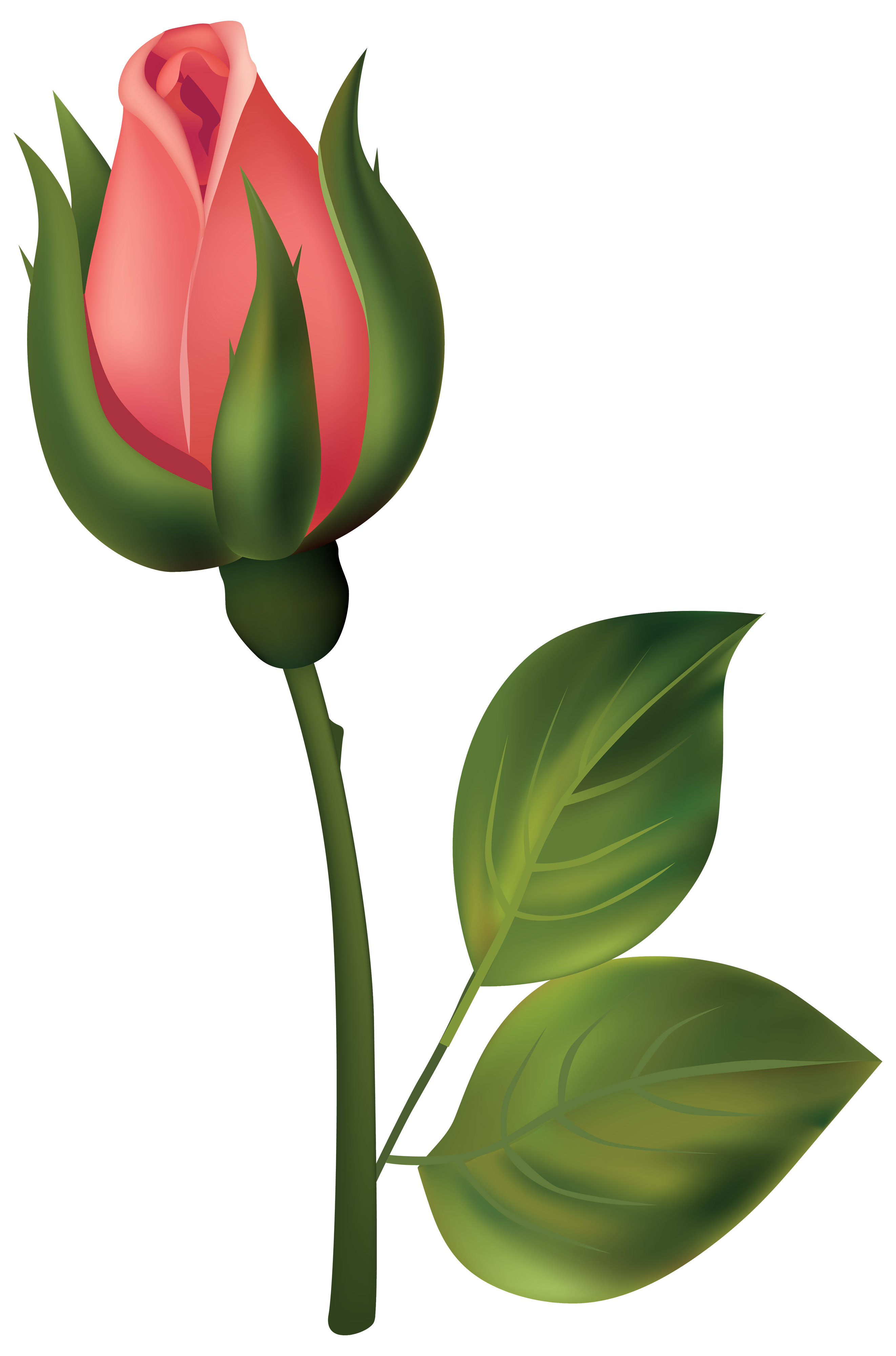 2644x4000 Red Flower Clipart Stem Clipart