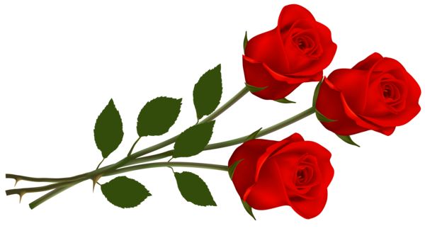 600x336 Red Roses Clipart Roses For You Red Roses