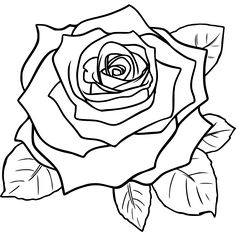 236x236 Drawn Floral Rose