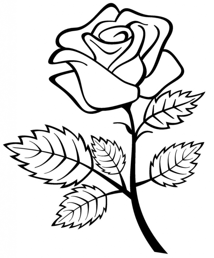 851x1024 Rose Flower Drawing Games