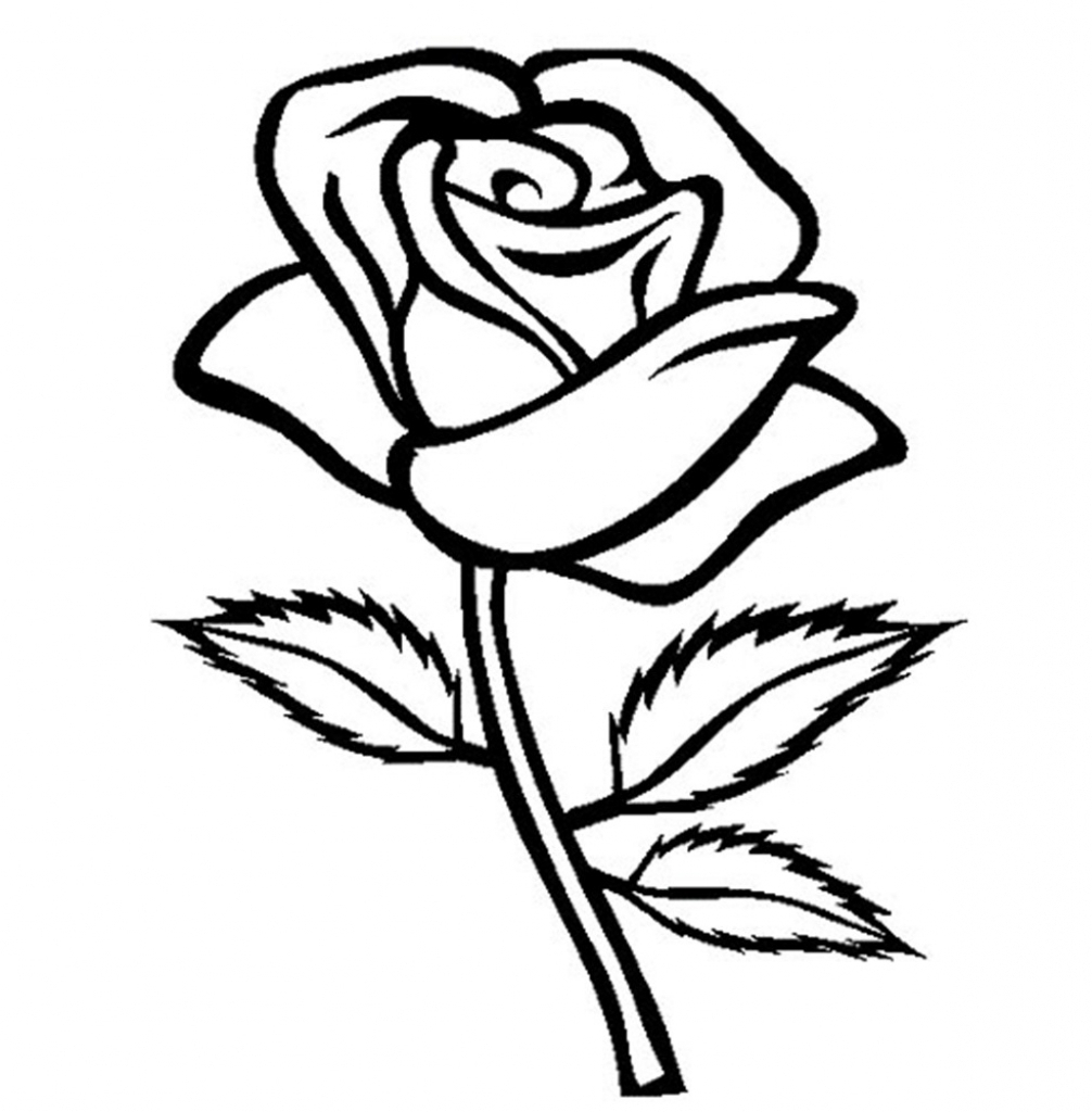1006x1024 Rose Flower Drawing Images Flower Drawing Best Images Collections
