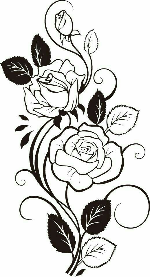518x954 Rose Clipart Gulab