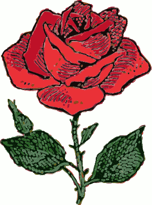 297x400 Top 75 Roses Clip Art