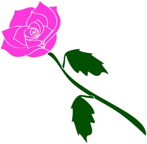 300x294 Pink Rose Clip Art