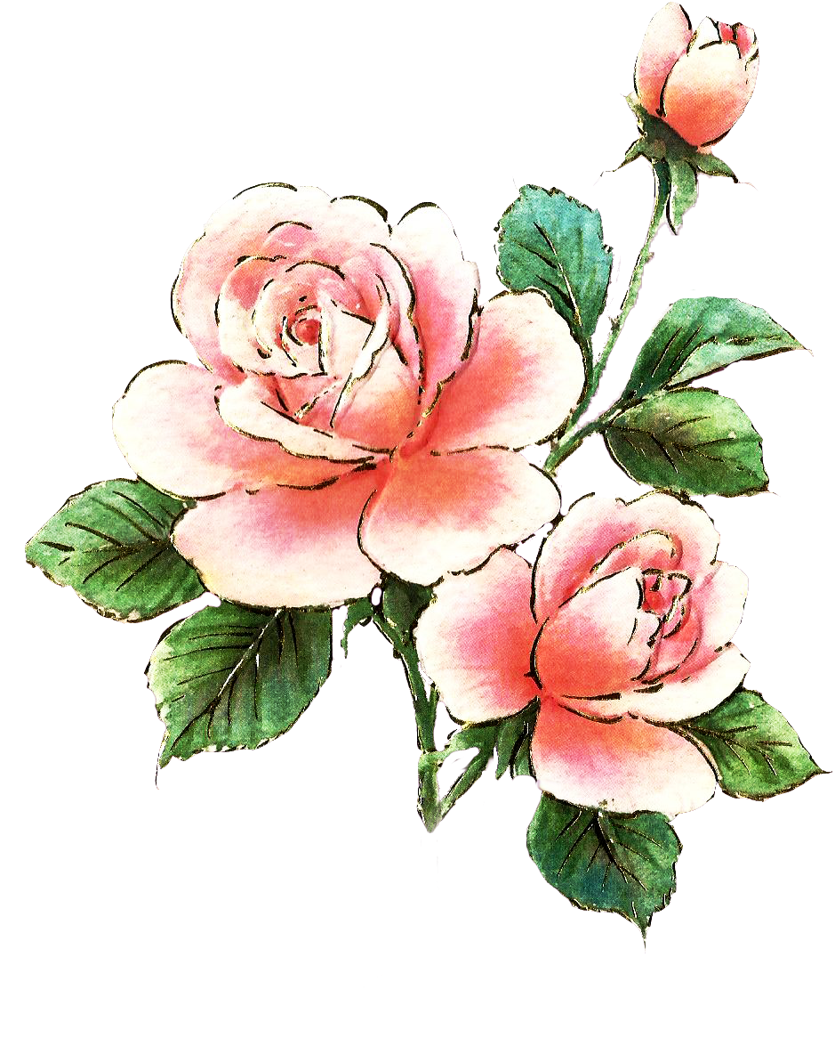 939x1175 Free Pink Rose Clipart Image