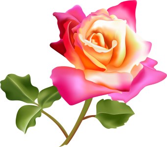 340x300 Pink Rose Flower Clip Art