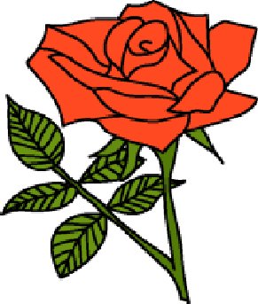 291x343 Rose Clipart