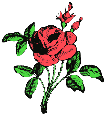 355x390 Clip Art Roses Many Interesting Cliparts