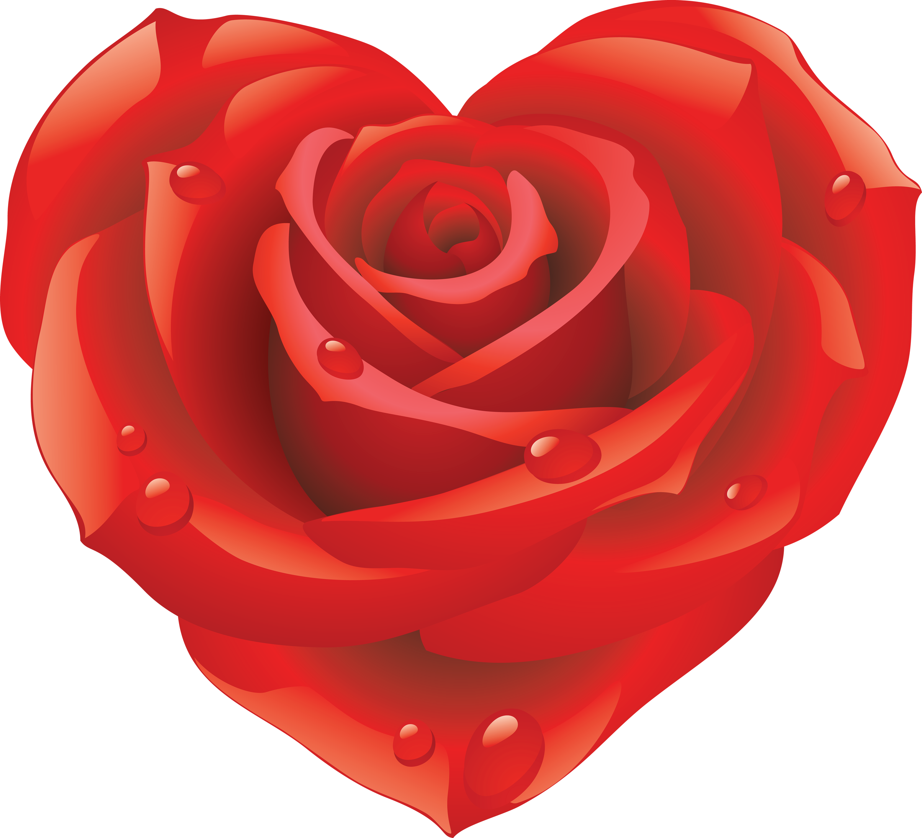 3125x2840 Love Heart Red Rose Isolated Stock Photo By