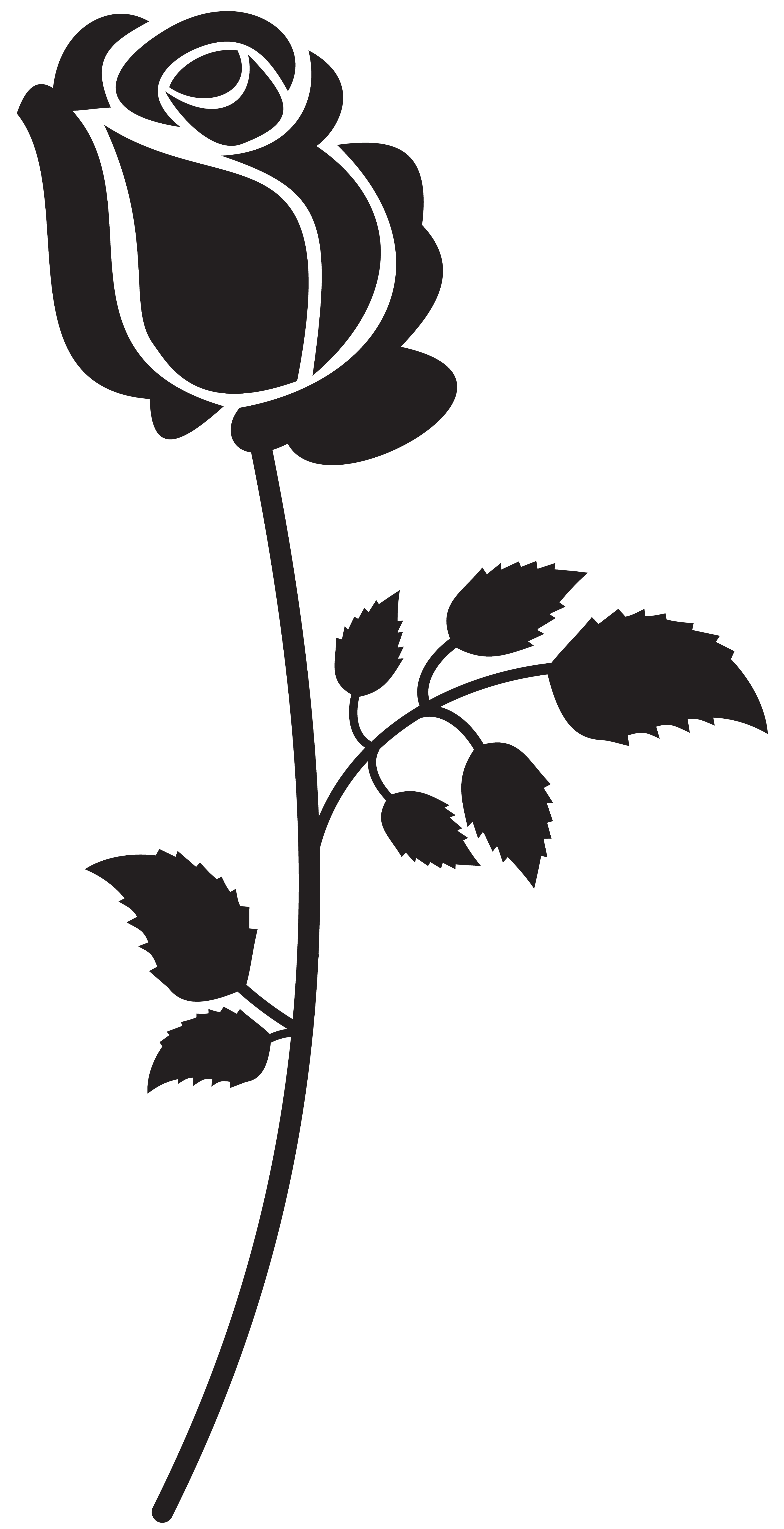 3591x7000 Rose Clipart Silhouette