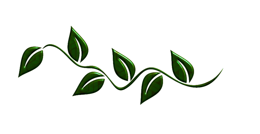 900x464 Green Leaves Png By Melissa Tm