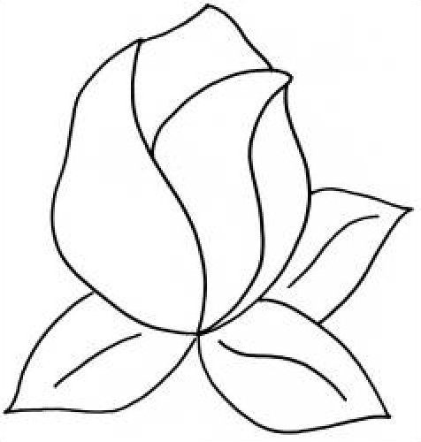 476x500 Drawings Of Rose Buds