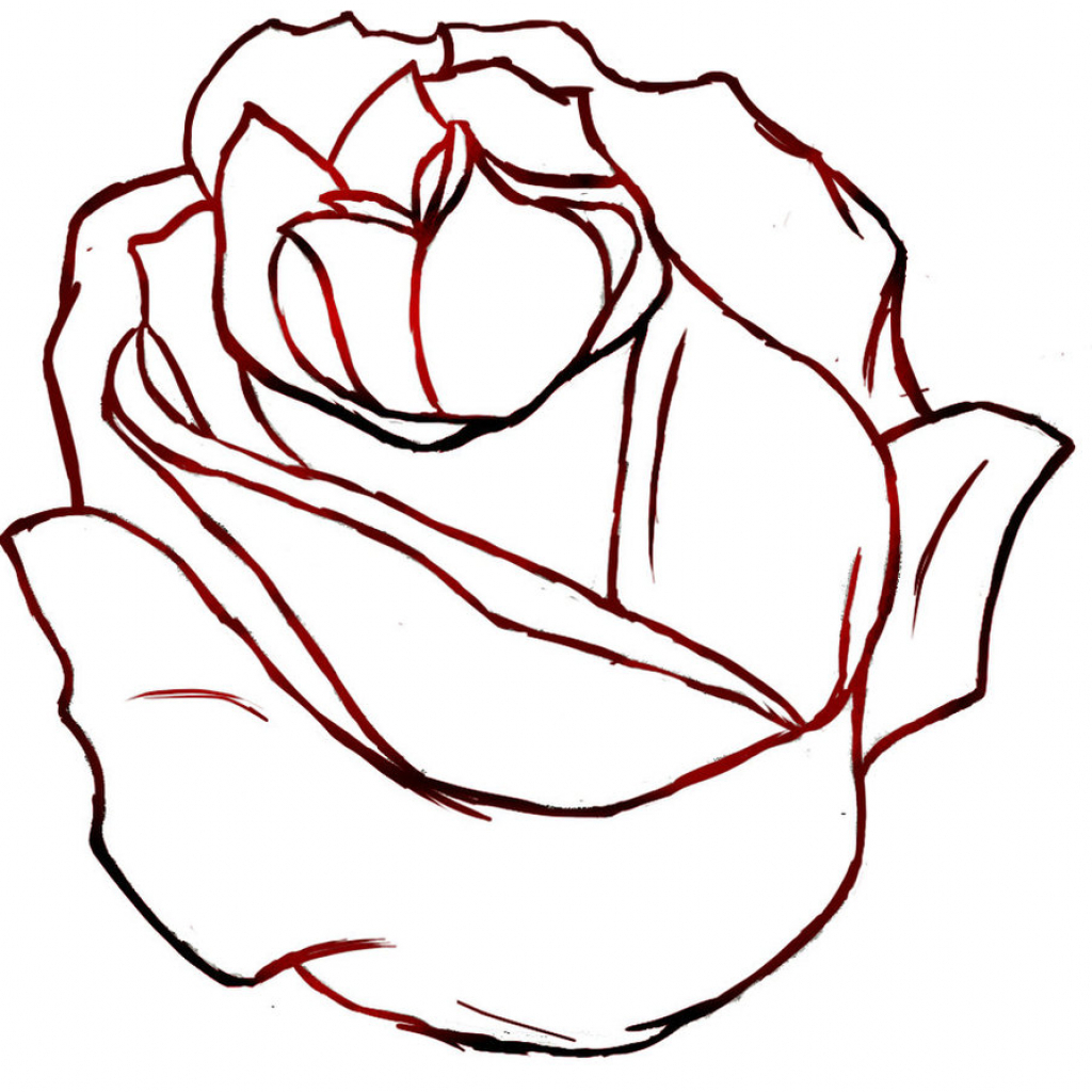 1024x1024 Rose Drawing Outlines Line Drawing Rose Clipartsco