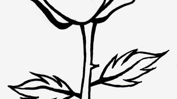 570x320 Rose Line Drawing Clip Art Line Rose By Jenni4design