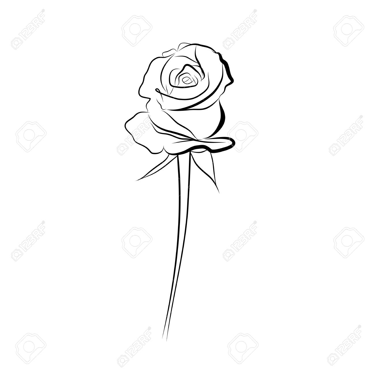 1300x1300 Sketch Line Drawing Of Rose Isolated Illustration On White