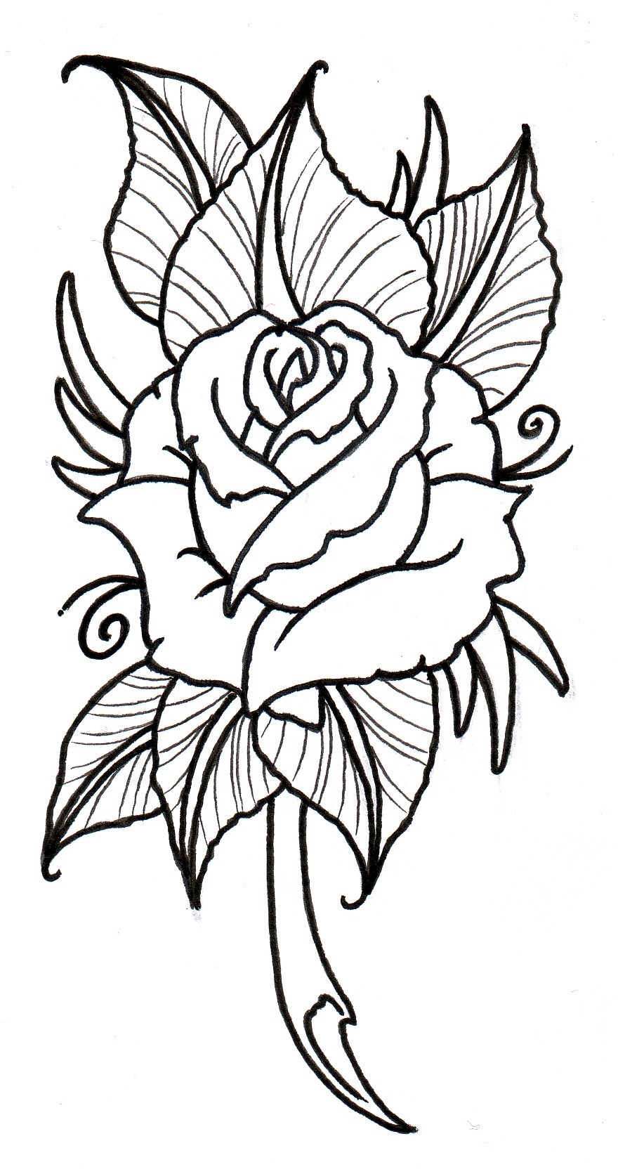 880x1671 Rose Tattoo Design Outline
