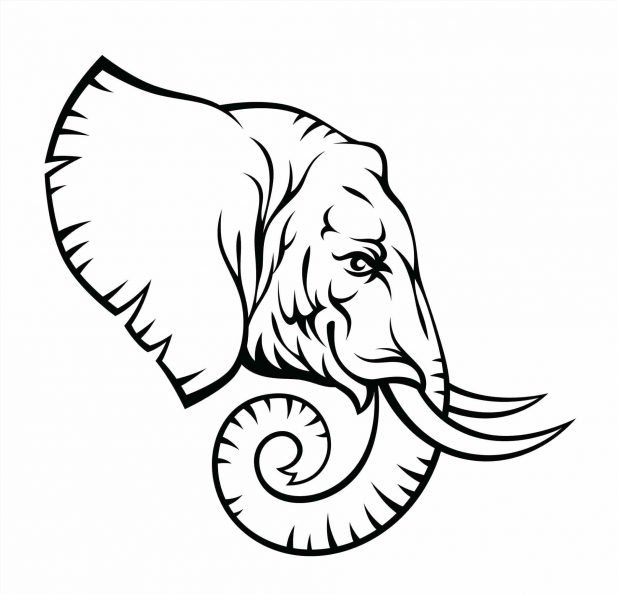 618x595 Full Size Of Pictures Flowers Free Flower To Print And Color Large