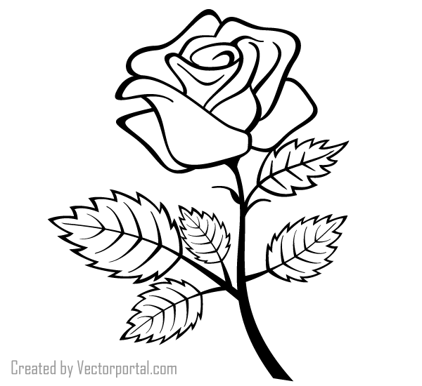 600x550 Vector Rose Outline Image 123freevectors