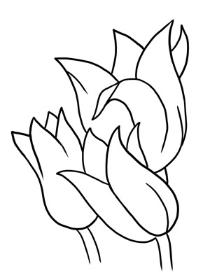 320x400 Black And White Butterfly Outline Free Flower Clip Art Outline