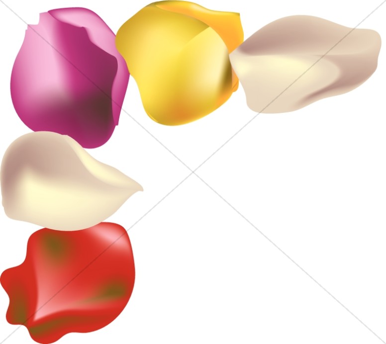 776x692 Flower Borders, Flower Border Clipart