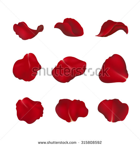450x470 Petal Of A Rose Clipart