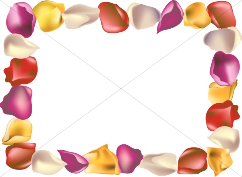776x569 Summer Rose Petal Horizontal Flower Borders