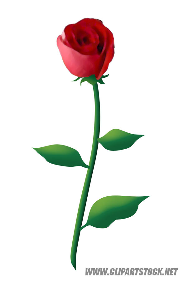 590x900 Plant Clipart Red Rose