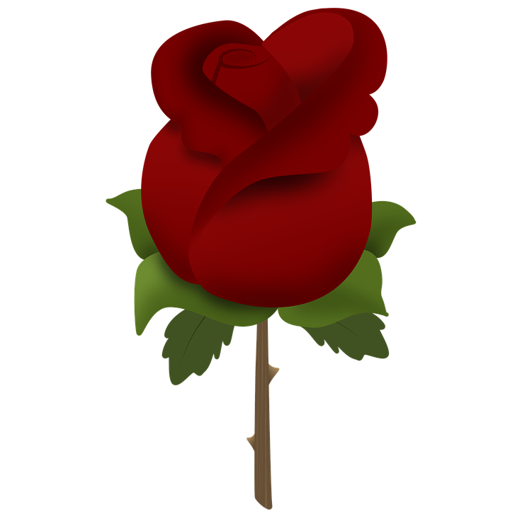 720x720 Red Rose Clipart Rose Bush