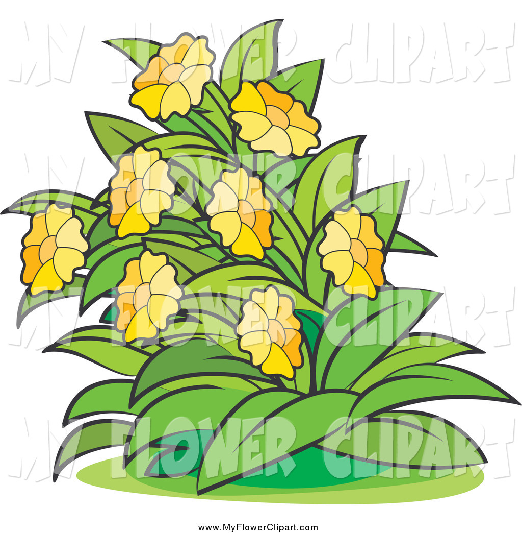 1024x1044 Clip Art Of A Bush With Yellow Flowers By Lal Perera