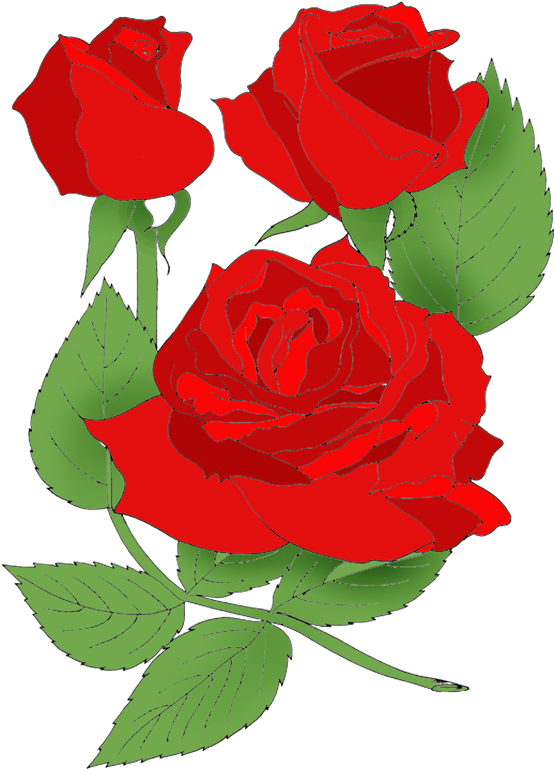 1083x1500 Top 75 Roses Clip Art